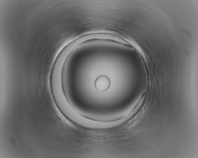 X0000112090813200908251126