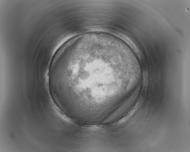 X0000112090814200908251126