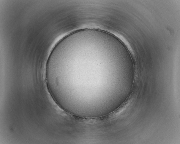 X0000112090815200908251126