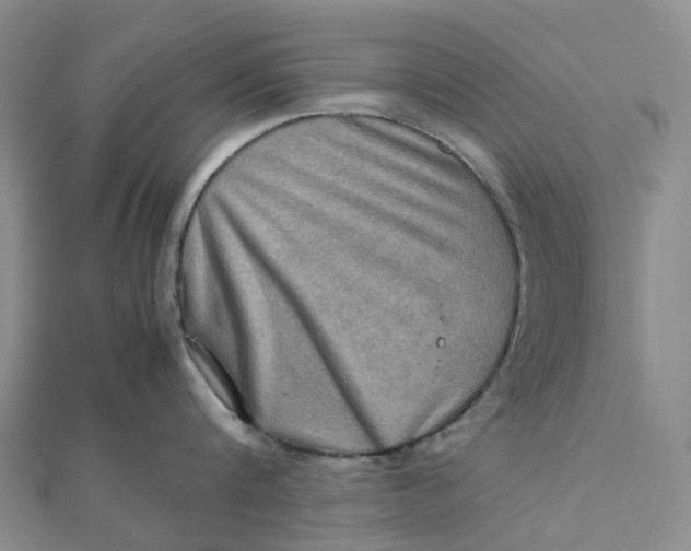 X0000112090816200908251126