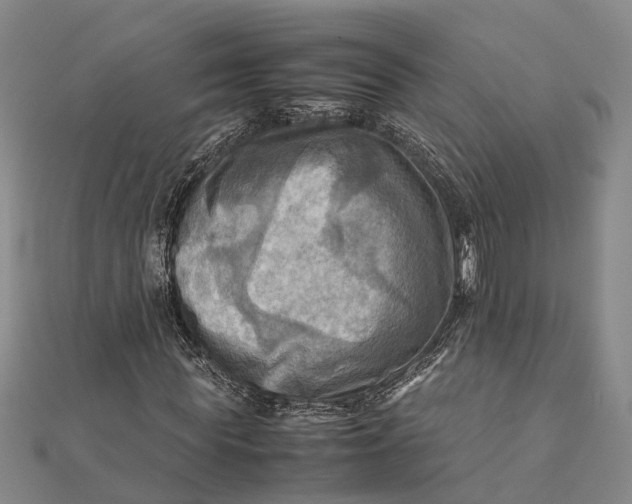 X0000112090819200908251126