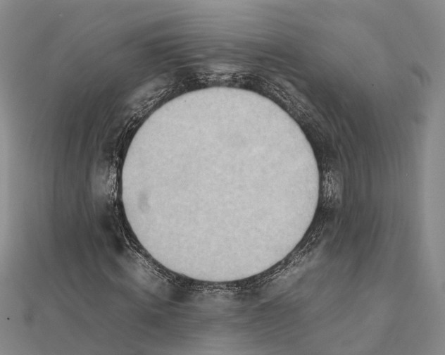 X0000112090820200908251126