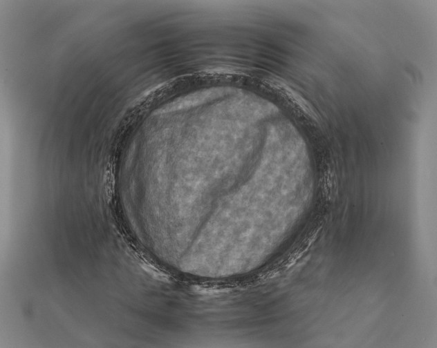 X0000112090821200908251126