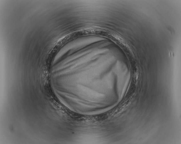 X0000112090822200908251126