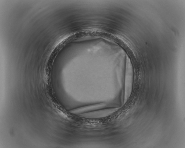 X0000112090823200908251126