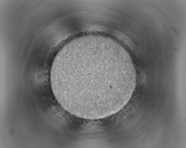 X0000112090824200908251126