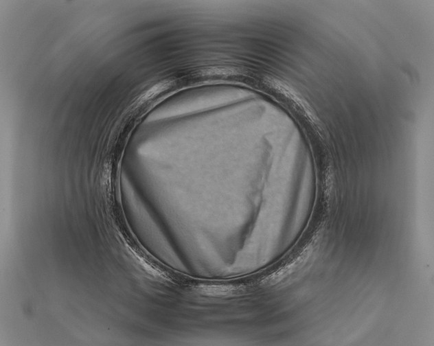 X0000112090825200908251126