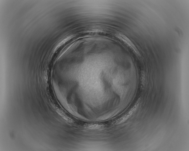 X0000112090826200908251126