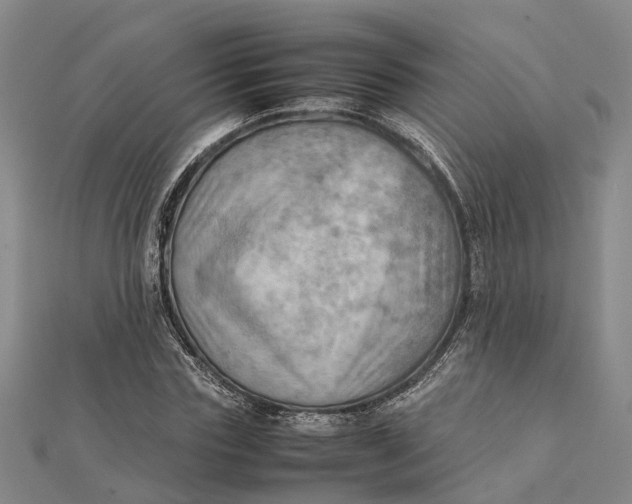 X0000112090827200908251126