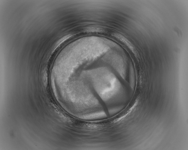 X0000112090829200908251126