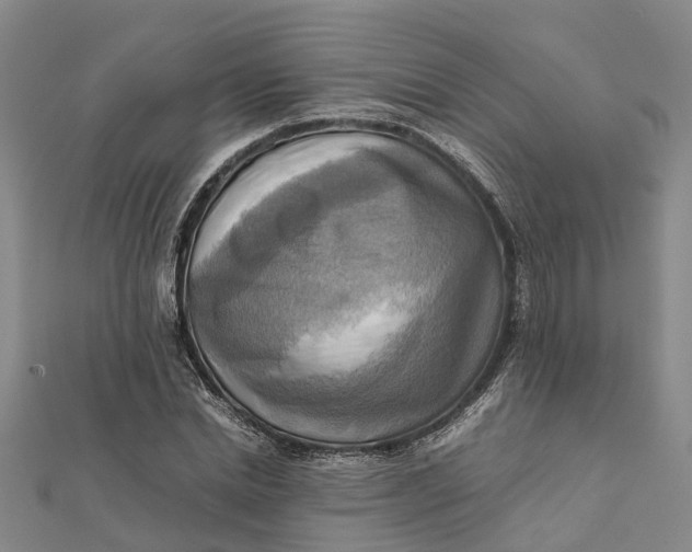 X0000112090830200908251126