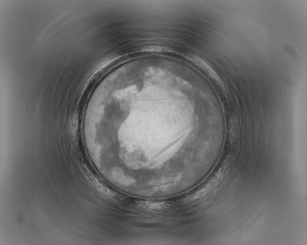 X0000112090831200908251126