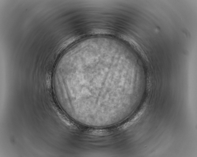 X0000112090833200908251126