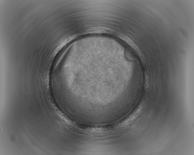 X0000112090834200908251126