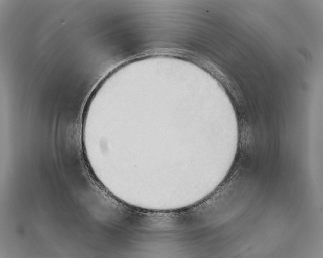 X0000112090836200908251126