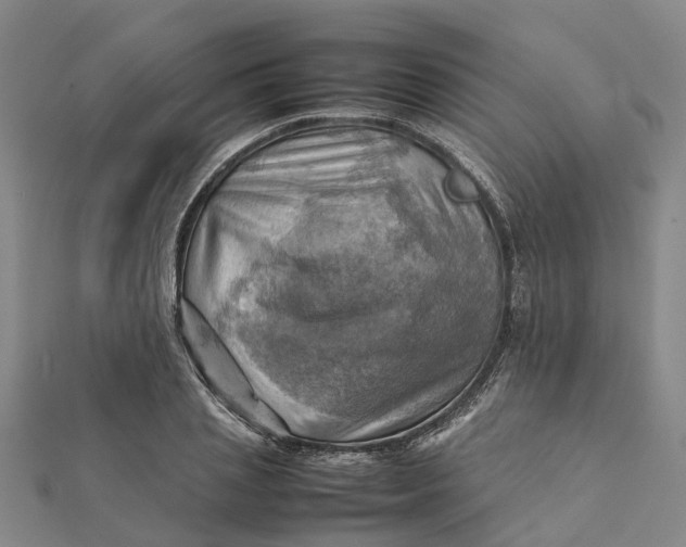 X0000112090837200908251126