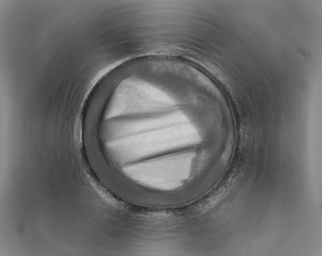 X0000112090838200908251126