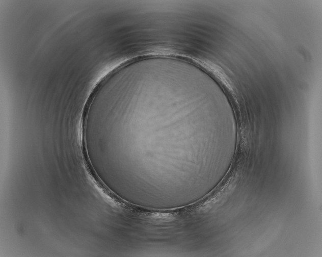 X0000112090839200908251126