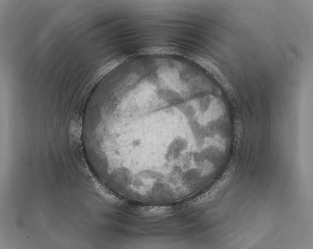 X0000112090841200908251126