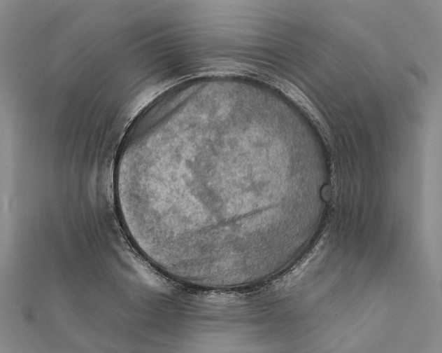 X0000112090842200908251126