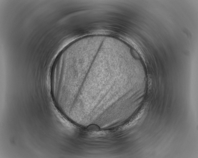 X0000112090843200908251126