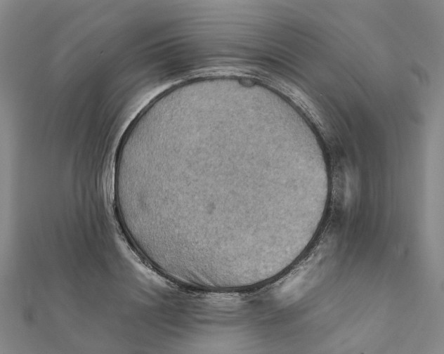 X0000112090844200908251126