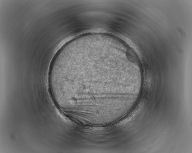 X0000112090845200908251126