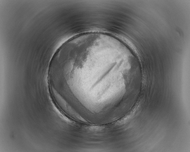 X0000112090847200908251126