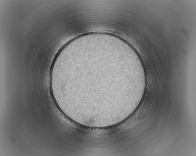 X0000112090848200908251126