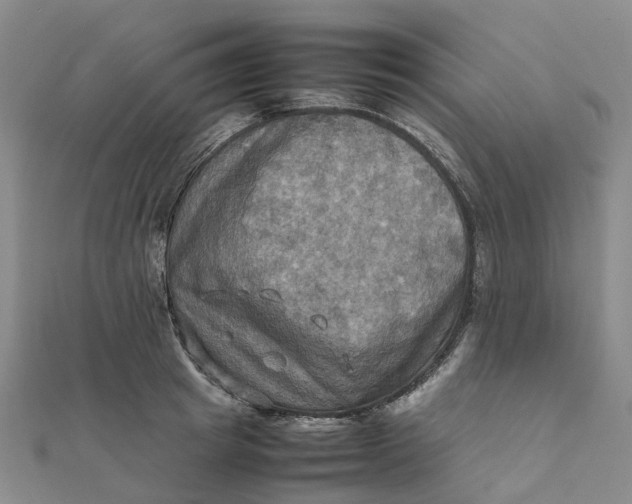 X0000112090849200908251126