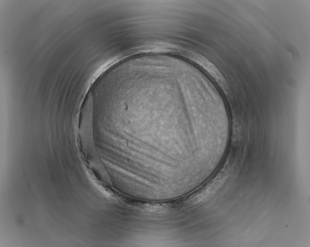 X0000112090850200908251126