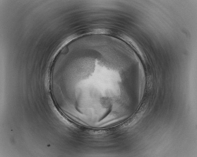 X0000112090851200908251126