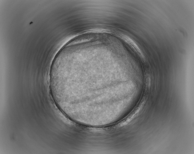 X0000112090852200908251126