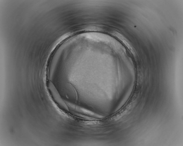 X0000112090853200908251126