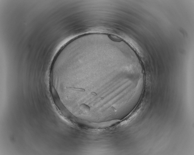 X0000112090854200908251126