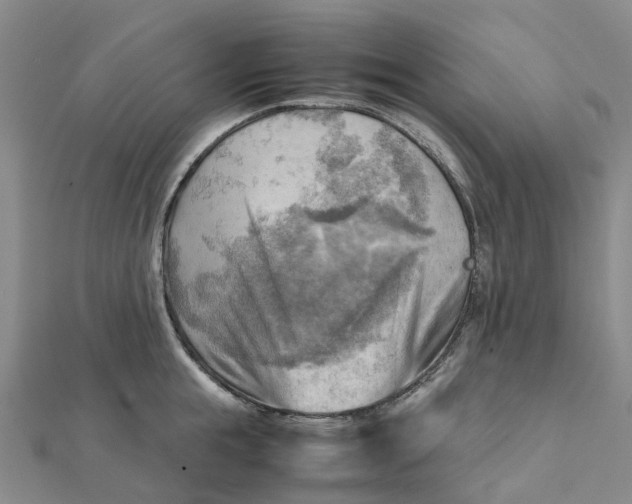 X0000112090855200908251126