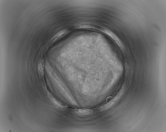 X0000112090857200908251126