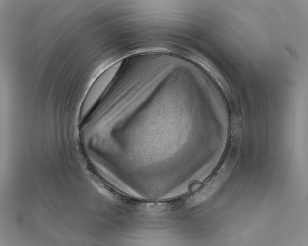 X0000112090858200908251126