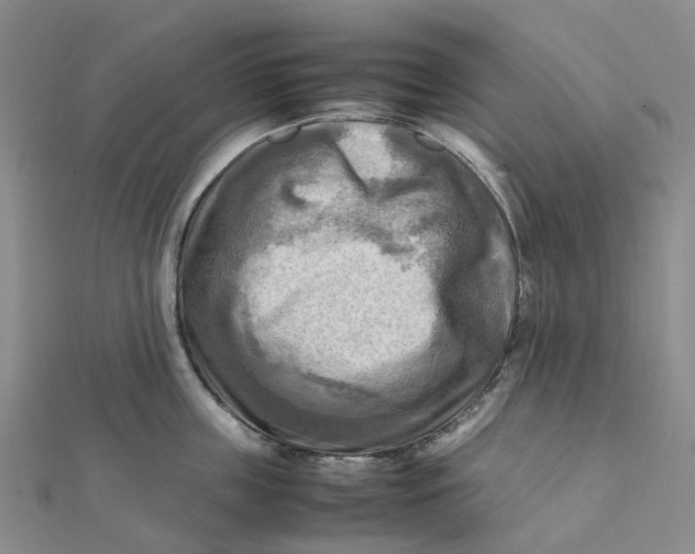 X0000112090859200908251126