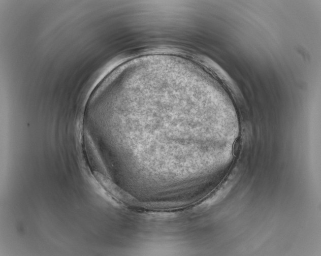 X0000112090860200908251126