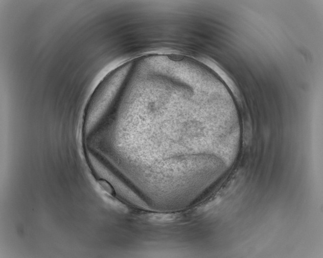 X0000112090861200908251126