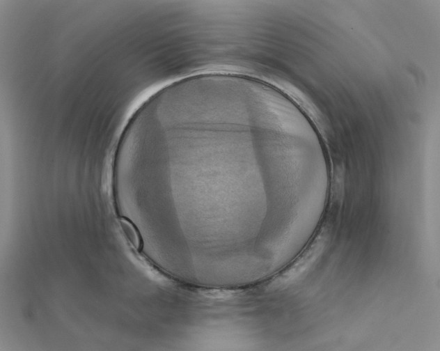 X0000112090862200908251126