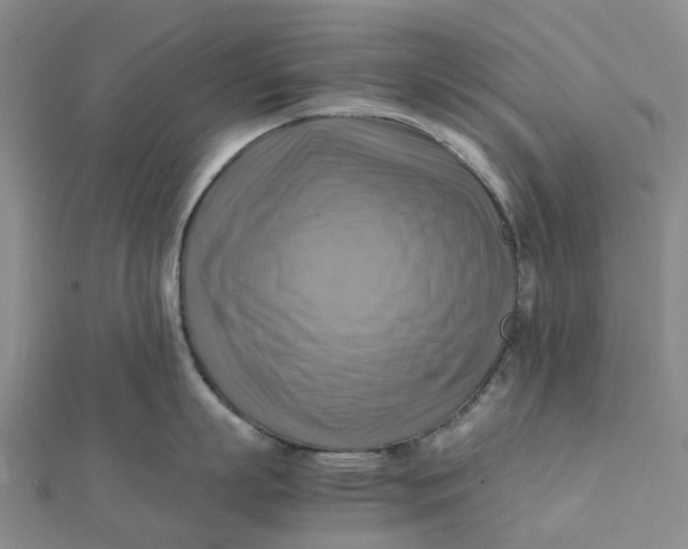 X0000112090863200908251126