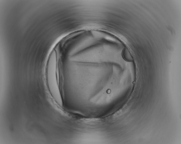 X0000112090864200908251126