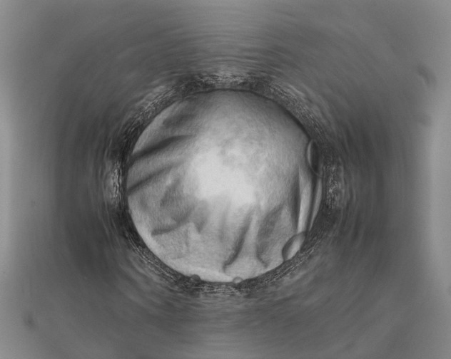 X0000112090866200908251125