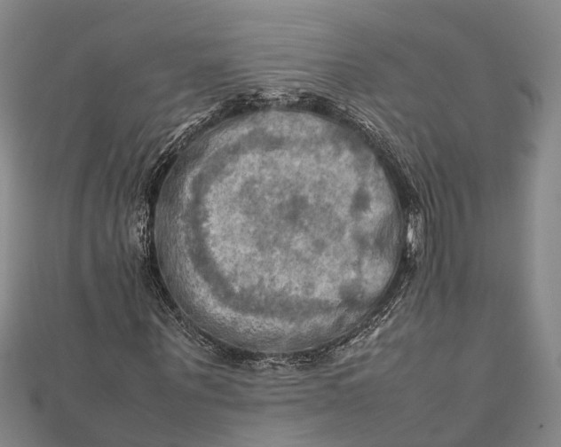 X0000112090867200908251125