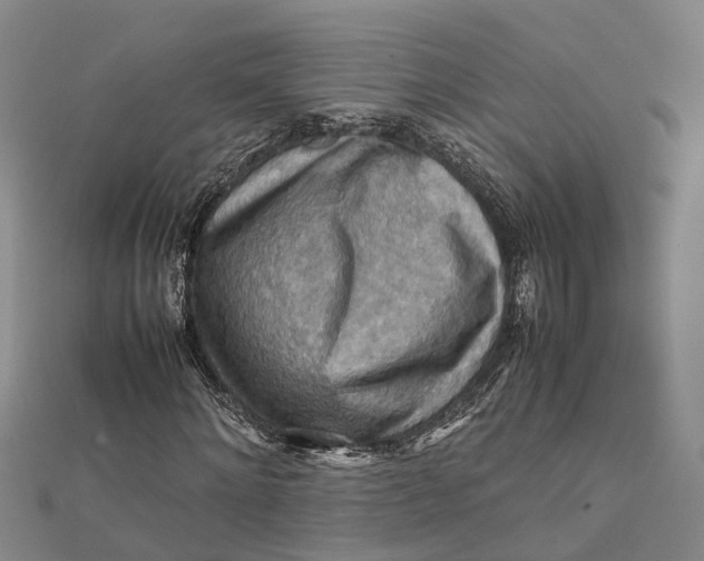 X0000112090868200908251125