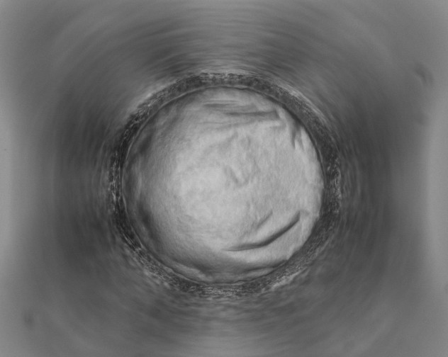 X0000112090870200908251125