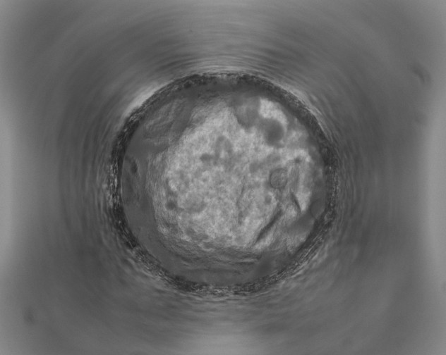 X0000112090871200908251125