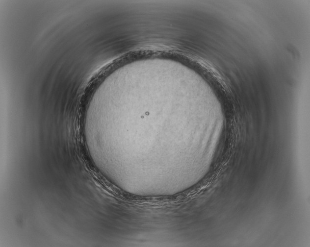 X0000112090872200908251125